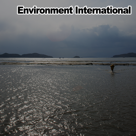 Integrated assessment of the natural purification capacity of tidal flat for persistent toxic substances and heavy metals in contaminated sediments