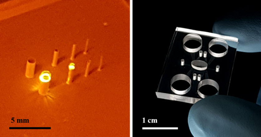 Figure. Featured images of SLP. Left: Digital image of SLP process forming vertical microchannels inside PDMS. Right: Digital image of 'Skin-on-a-chip' device fabricated from a PDMS monolith through SLP process.