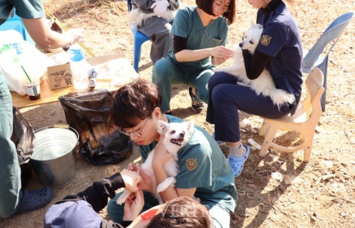 SNU Students Help Abandoned Animals