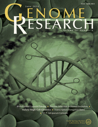 Professor KIM Jin-Soo’s research was published as the cover article of Genome Research