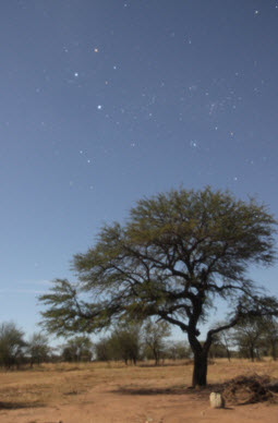 The Bohemian’s Full Moon (JANG Han Kyul) - Taken in Tanzania’s Serengeti National Park, the picture depicts the Crux constellation. The Crux cannot be observed in the sky in Korea.