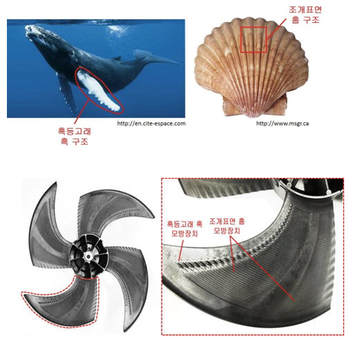 Lumps on the fins of humpback whales and furrow structures on clams embedded into the design of the fan surface