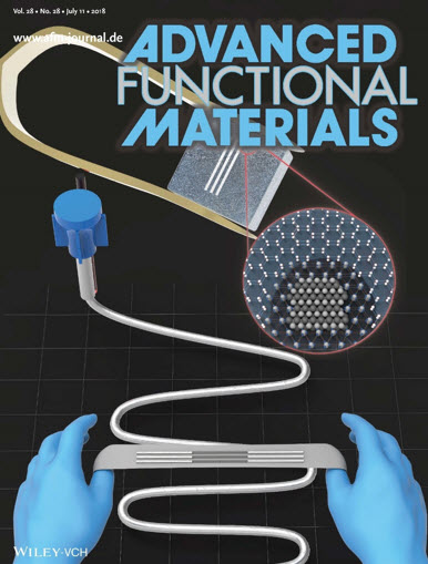 Professor Kauh Sang Ken and his student Kim Do-yoon has their research published in the back cover of the Advanced Functional Materials